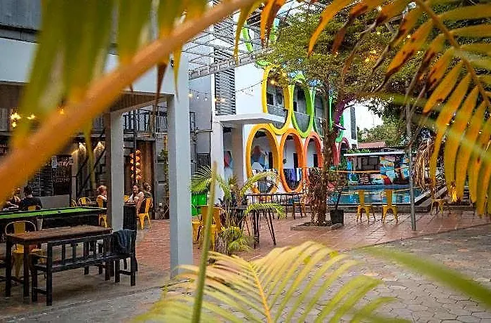 White Rabbit (adults Only) Siem Reap