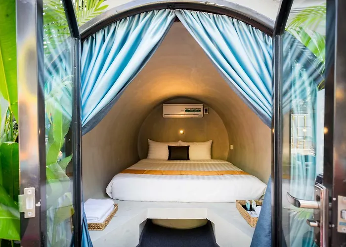 White Rabbit (adults Only)