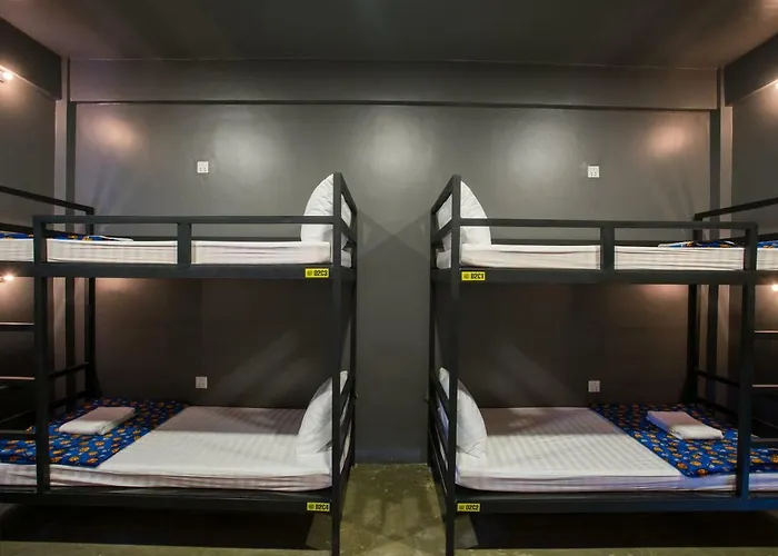 Hostel White Rabbit (adults Only)