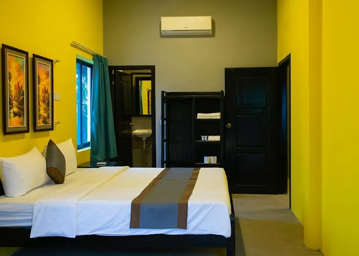 White Rabbit (adults Only) Hostel