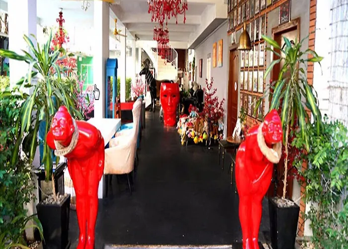 White Rabbit (adults Only) * Siem Reap