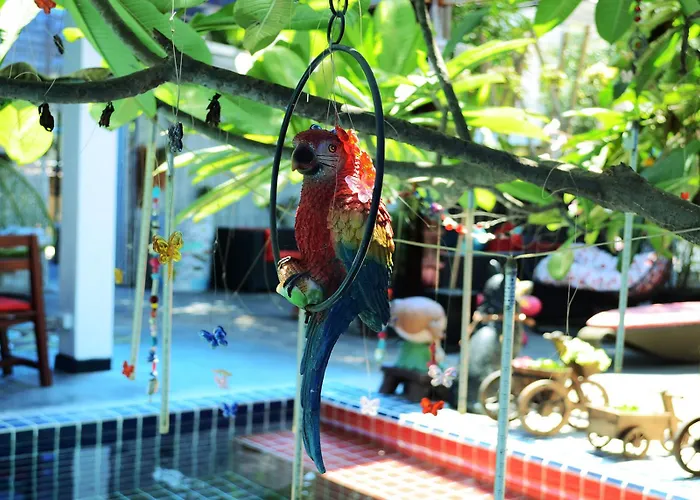 White Rabbit (adults Only) * Siem Reap